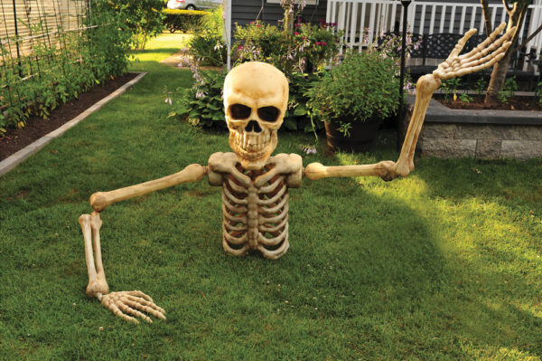PRE-ORDER Skeleton Grave Breaker - Image 3