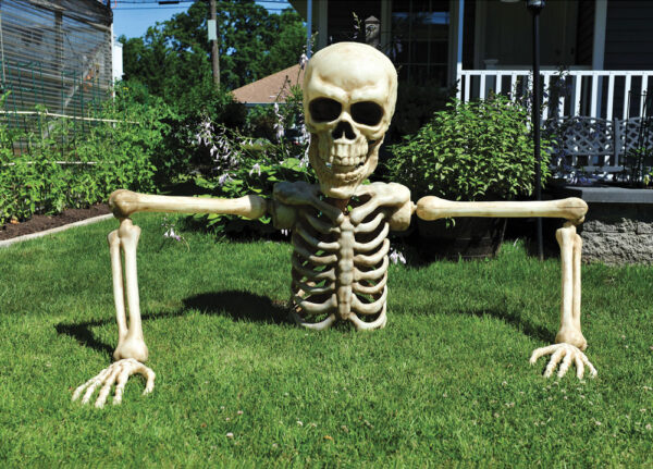 PRE-ORDER Skeleton Grave Breaker