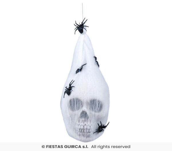 Hanging Skull In Spider Web - Image 2