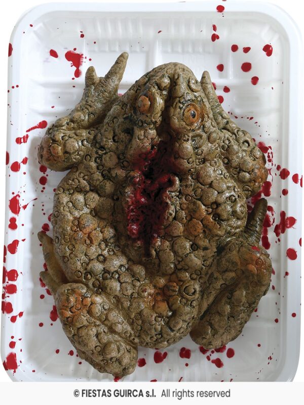 Dead Toad Tray Halloween Prop - Image 2